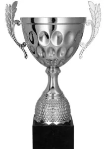 Športový pohár 4234, strieborný 