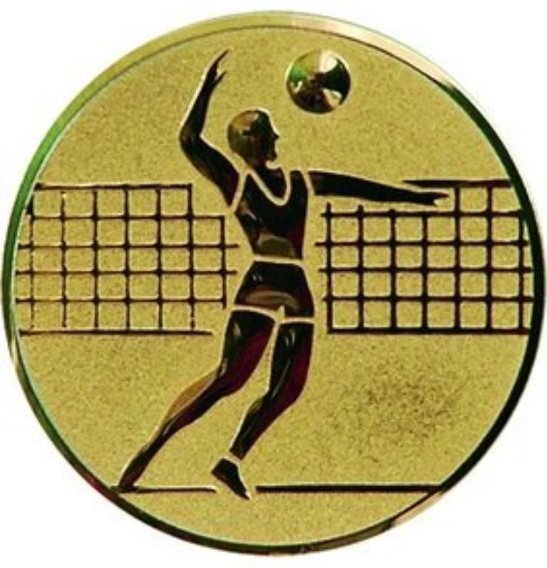volejbal - emblém A6/G,S,B  priemer 25,