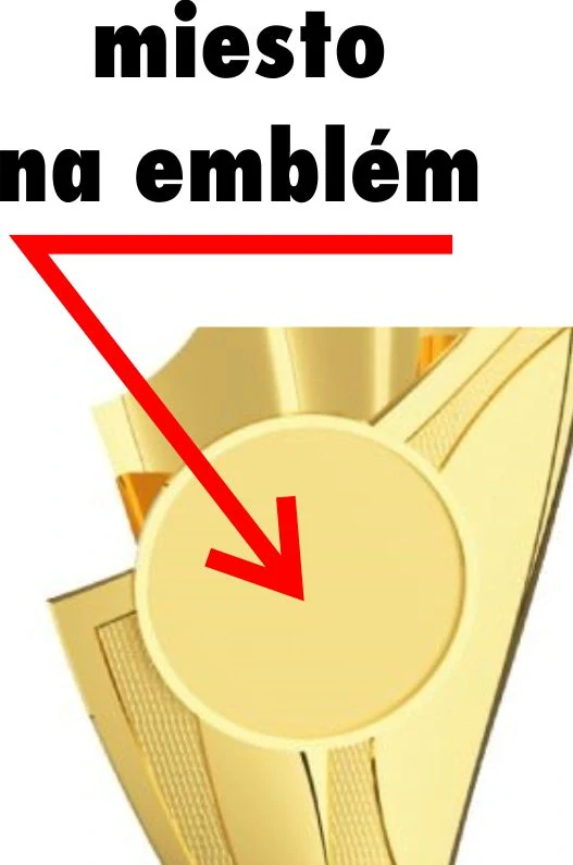 Športový pohár 9282 zlatý, emblém 50 mm