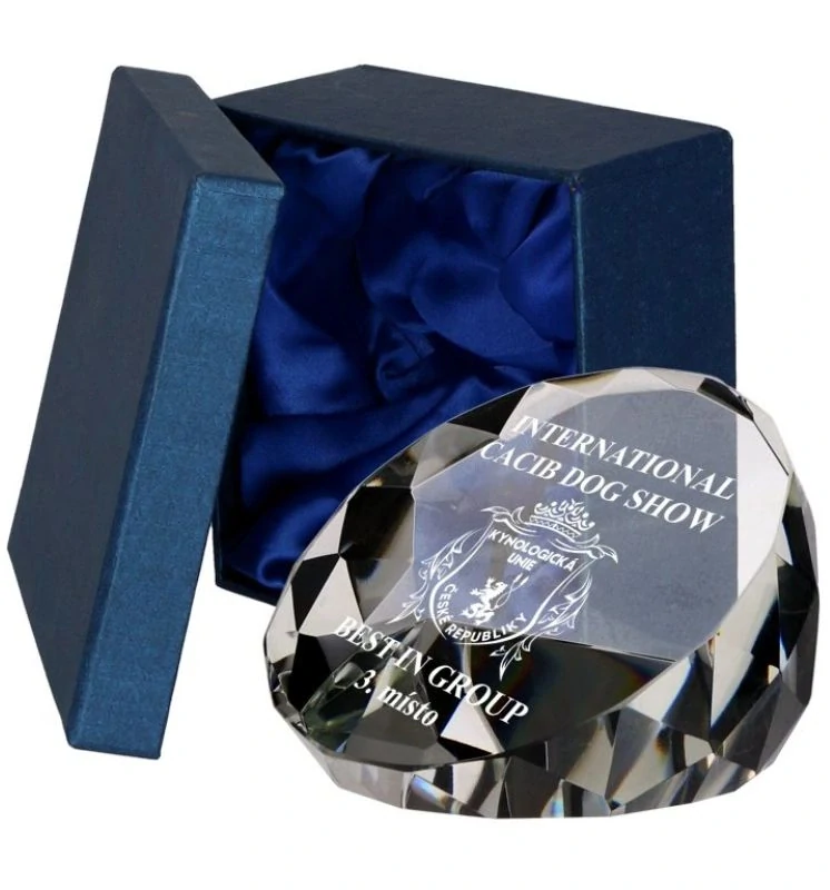 Sklenená trofej Sklenená trofej T027 v kazete